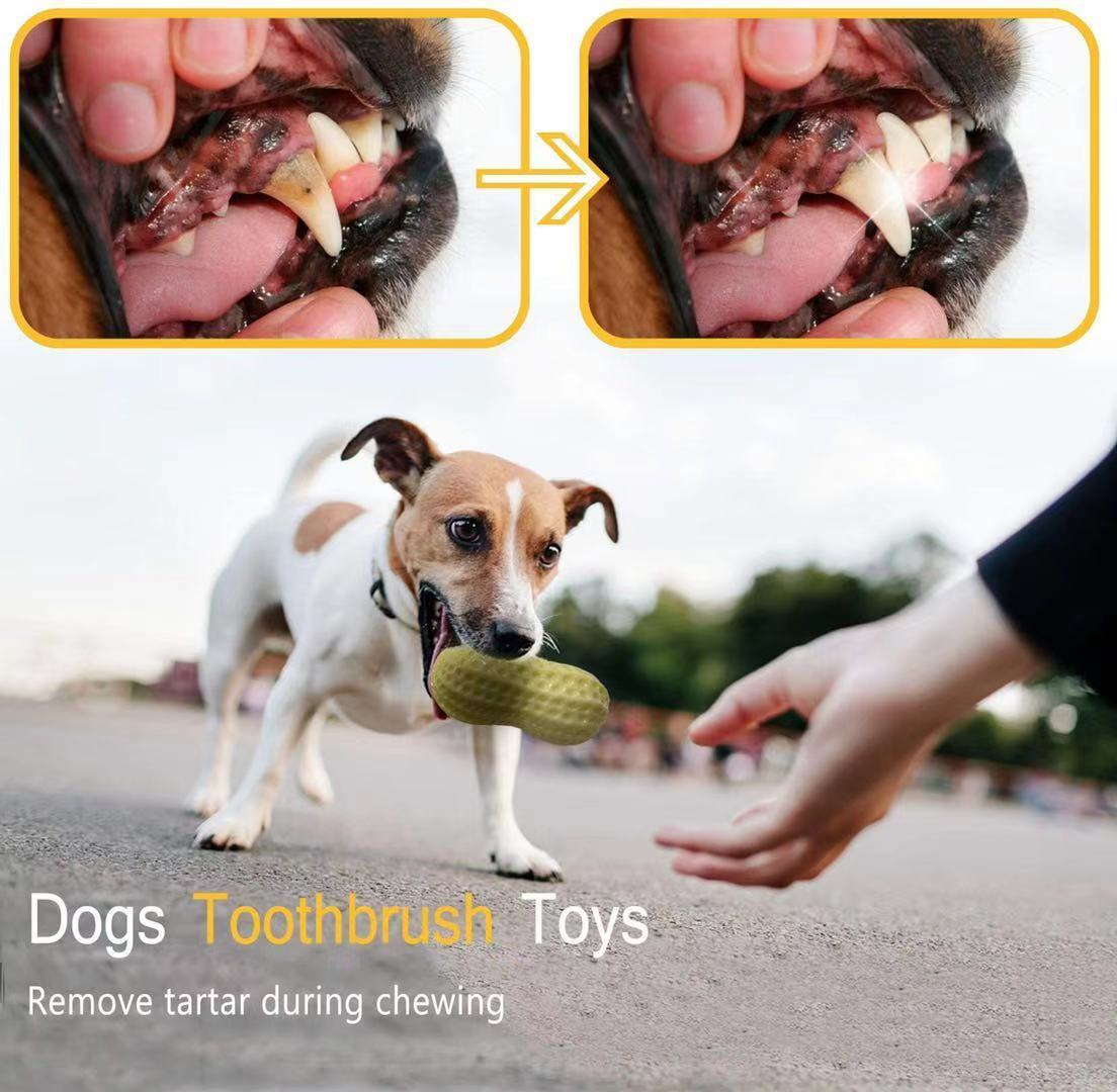Bite-Resistant Squeaky Peanut Toy for Happy, Healthy Pets