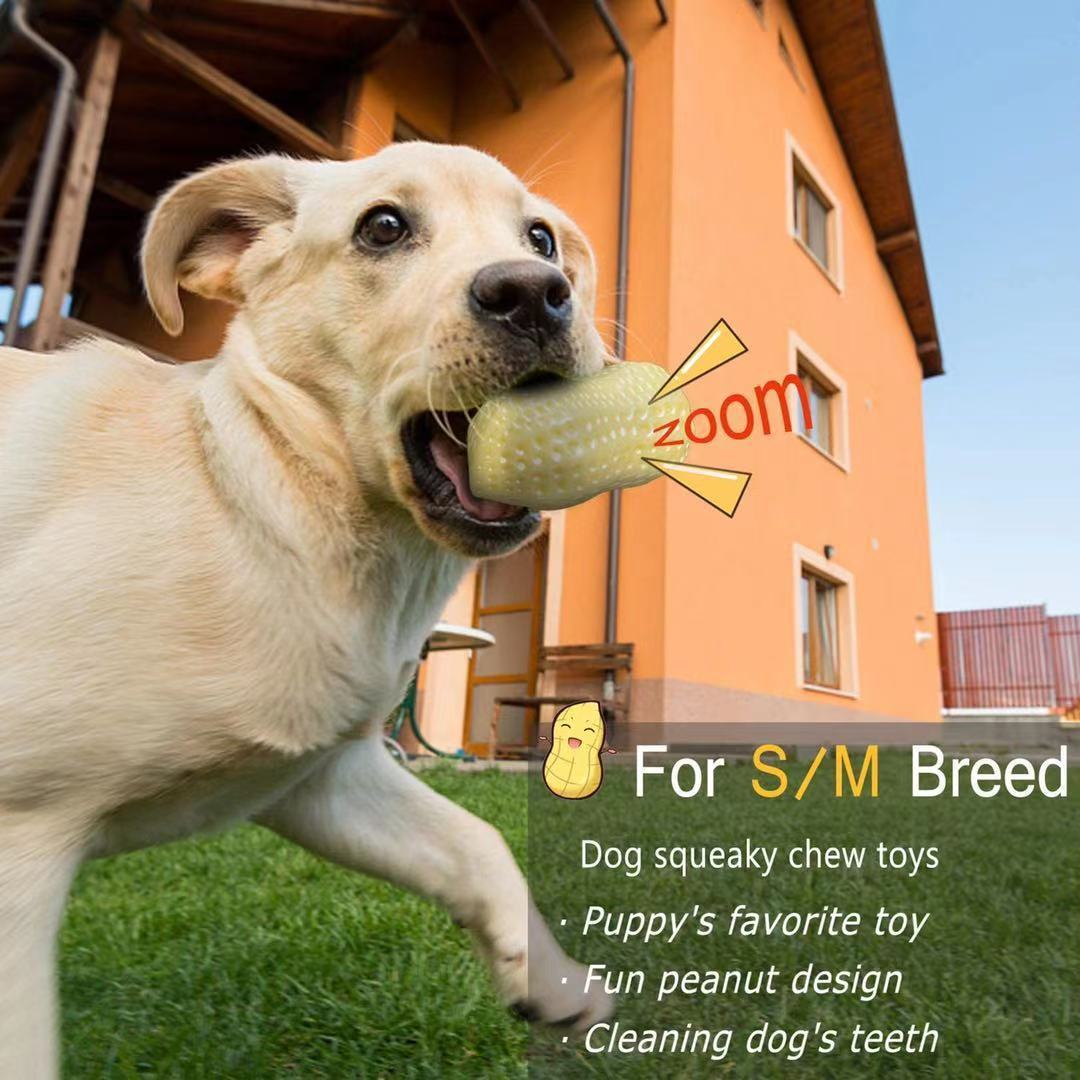 Bite-Resistant Squeaky Peanut Toy for Happy, Healthy Pets