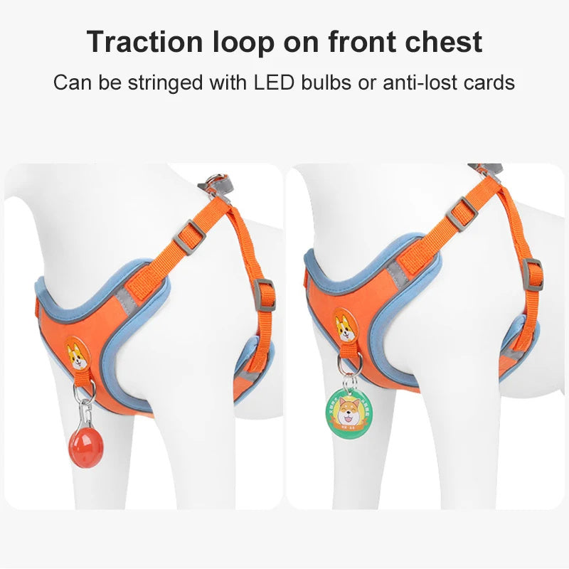No-Pull Reflective Dog Harness & Leash Set for Small Pets