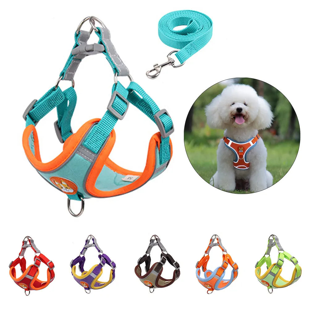 No-Pull Reflective Dog Harness & Leash Set for Small Pets