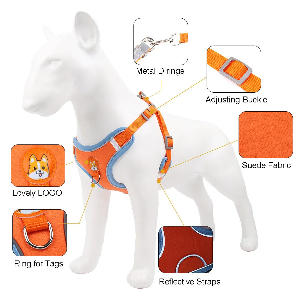 No-Pull Reflective Dog Harness & Leash Set for Small Pets