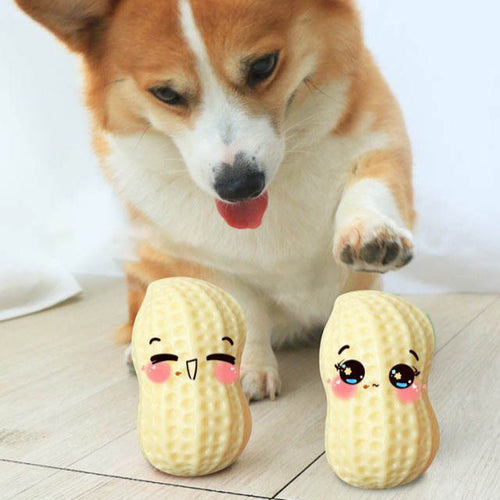 Bite-Resistant Squeaky Peanut Toy for Happy, Healthy Pets