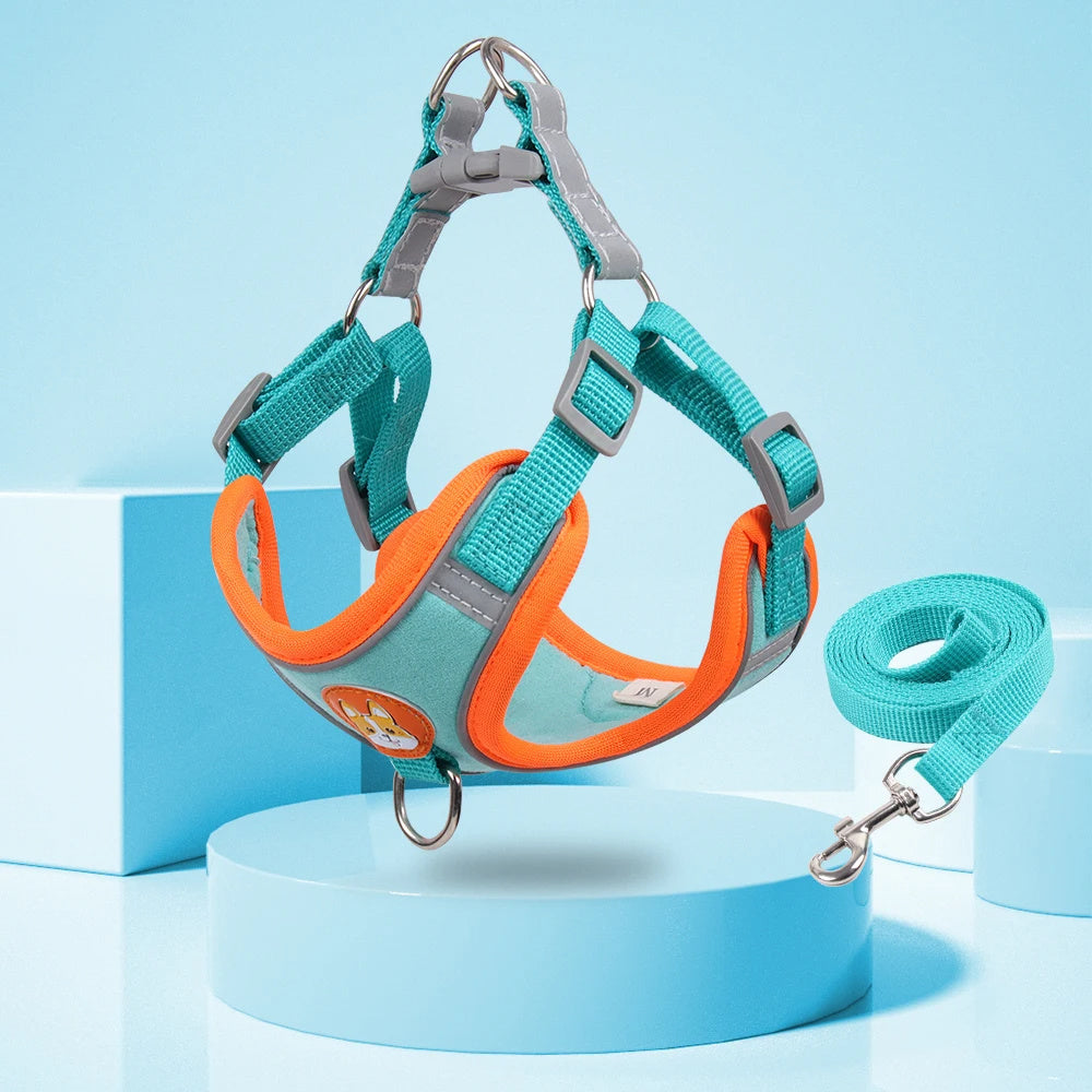 No-Pull Reflective Dog Harness & Leash Set for Small Pets