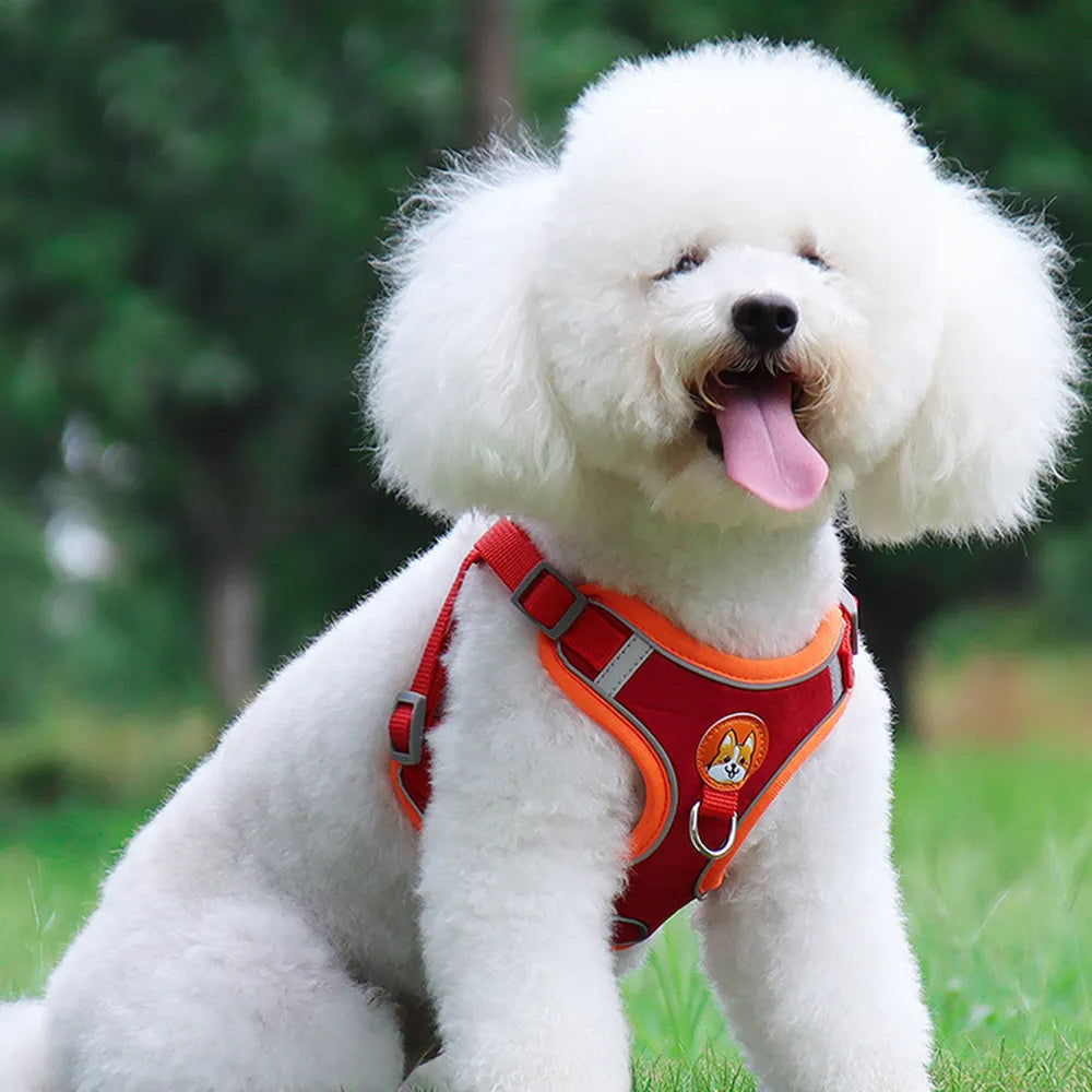 No-Pull Reflective Dog Harness & Leash Set for Small Pets
