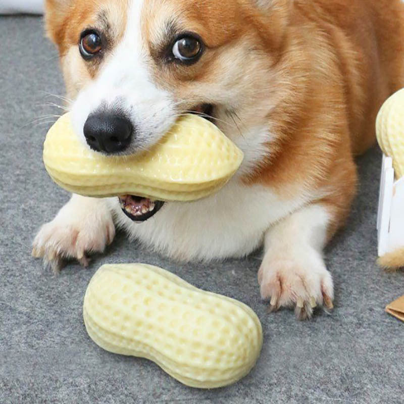 Bite-Resistant Squeaky Peanut Toy for Happy, Healthy Pets