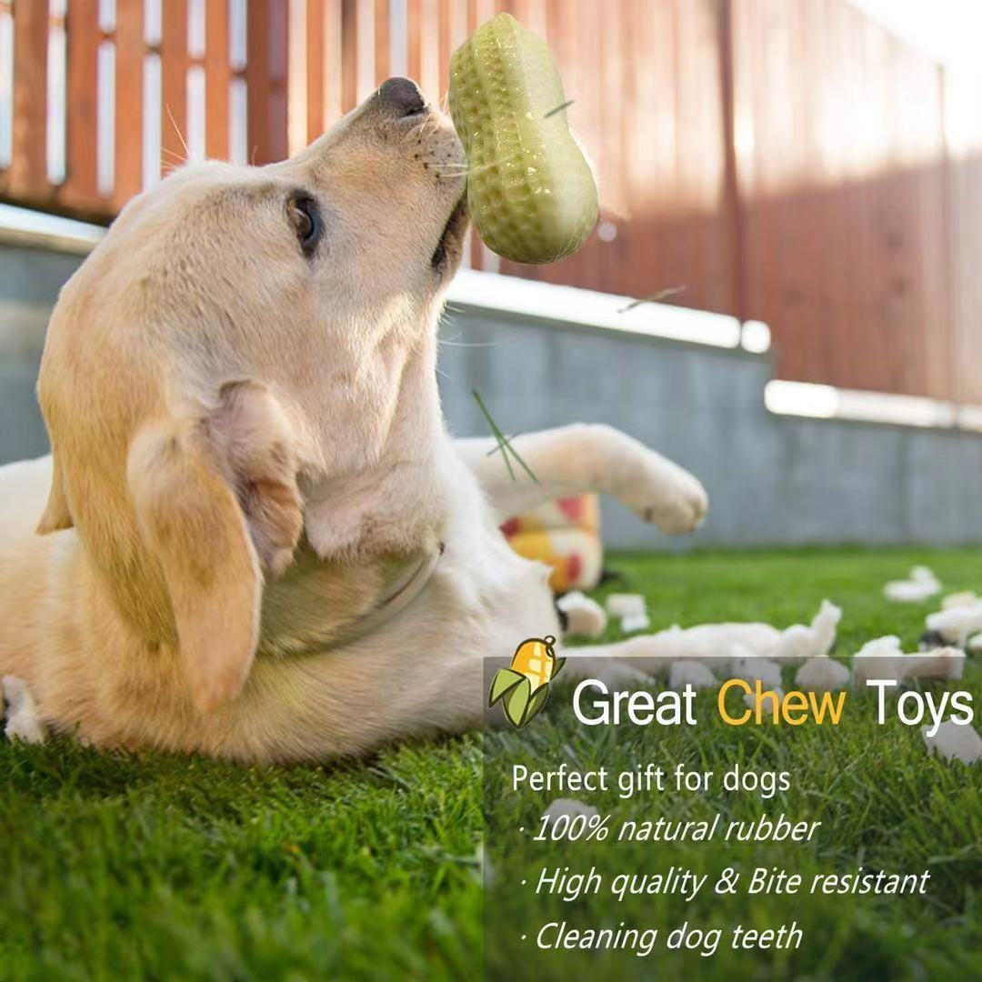 Bite-Resistant Squeaky Peanut Toy for Happy, Healthy Pets