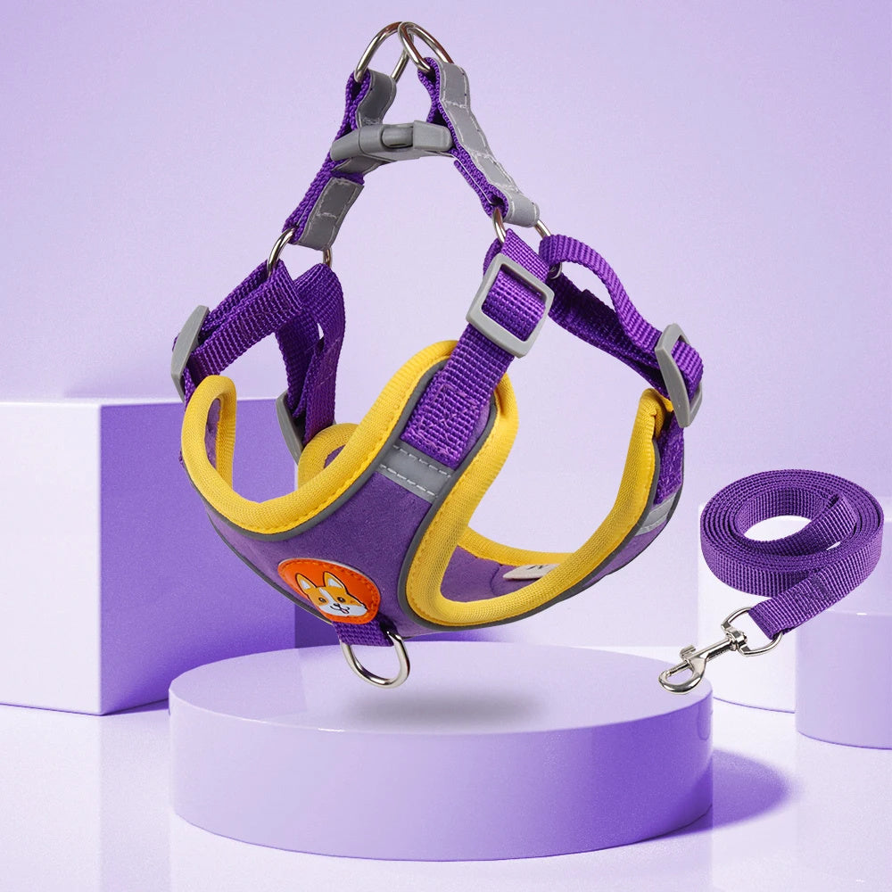 No-Pull Reflective Dog Harness & Leash Set for Small Pets