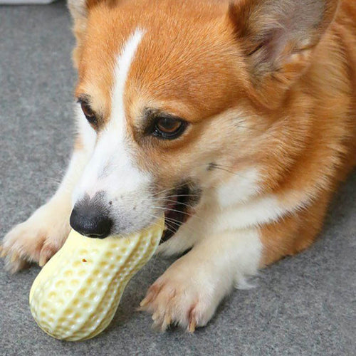 Bite-Resistant Squeaky Peanut Toy for Happy, Healthy Pets