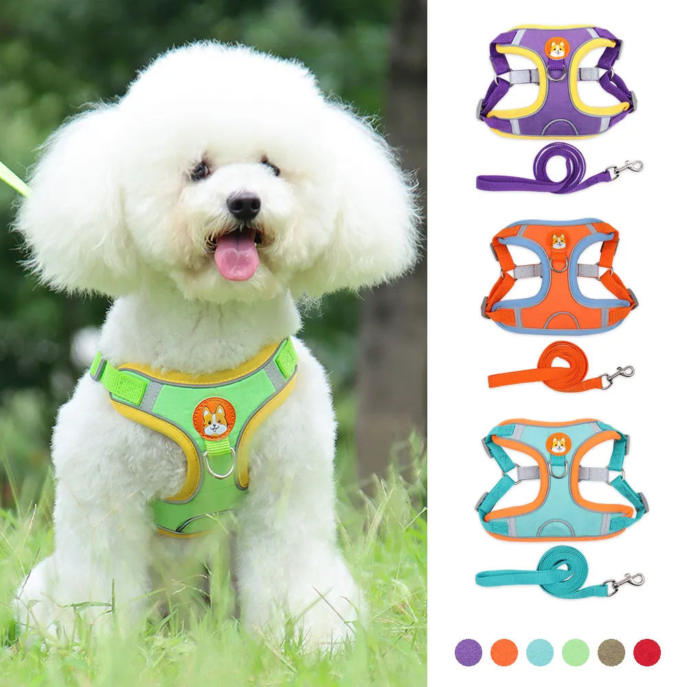 No-Pull Reflective Dog Harness & Leash Set for Small Pets