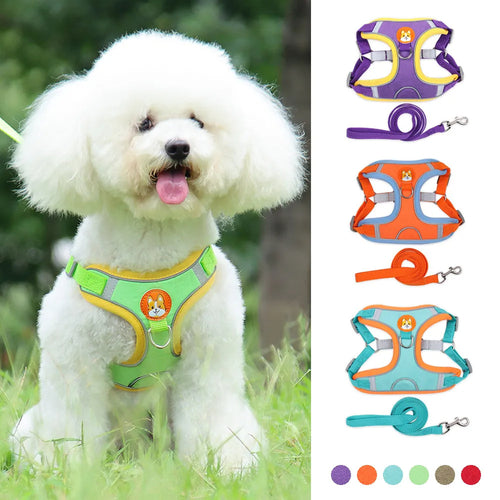 No-Pull Reflective Dog Harness & Leash Set for Small Pets