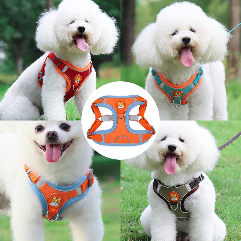 No-Pull Reflective Dog Harness & Leash Set for Small Pets
